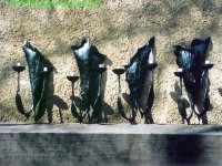 Bild 52